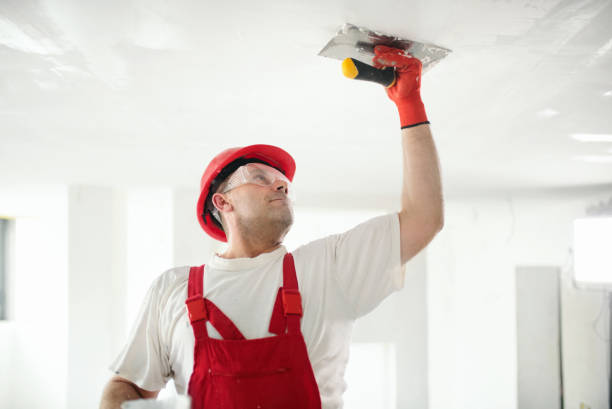 Best Wallpaper Removal and Painting  in Oakley, KS